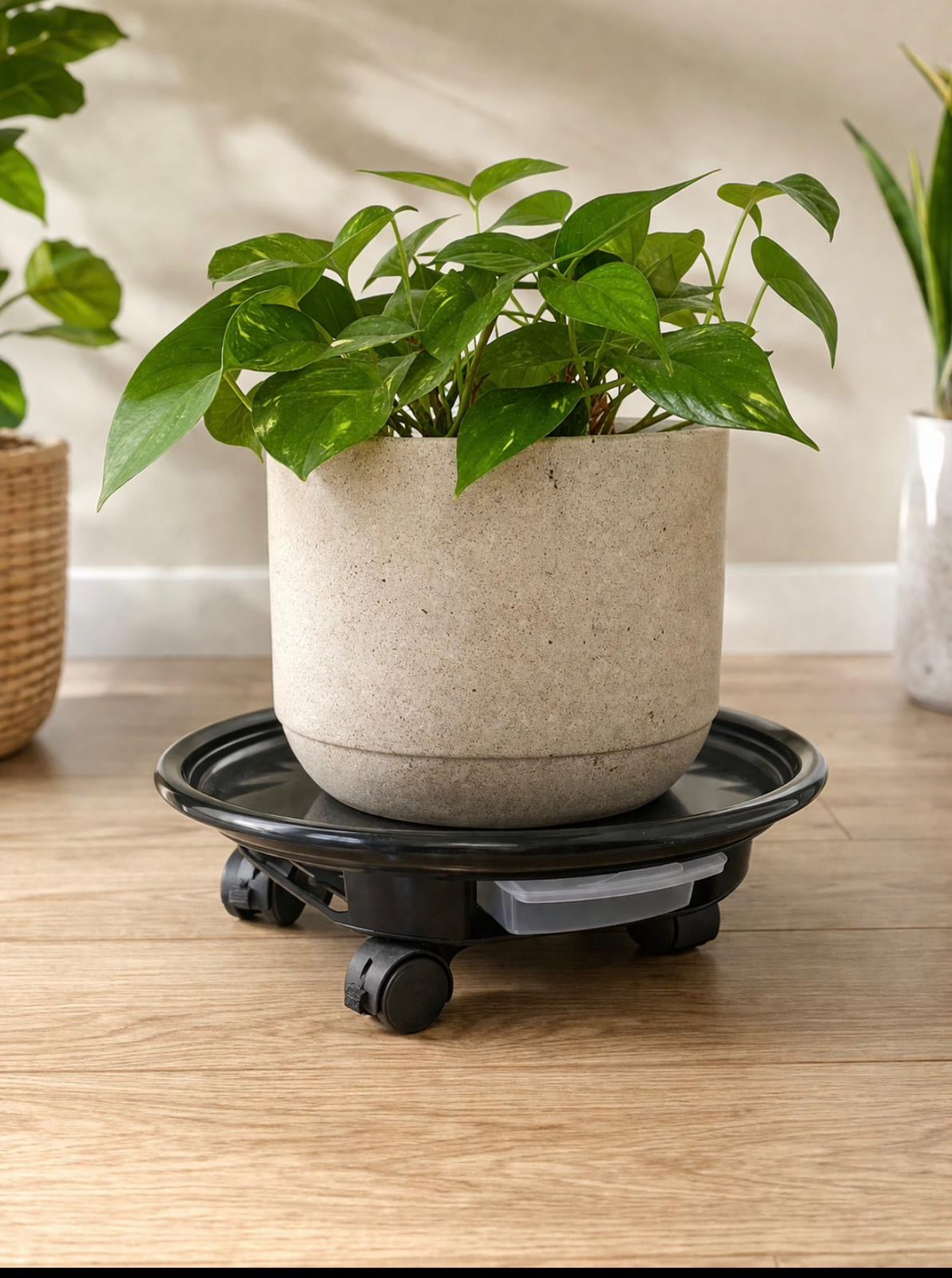 Large Pot Plant Trolley with Wheels