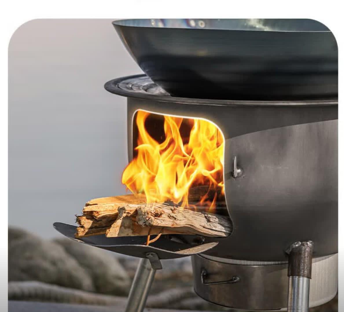 Wood-burning stove with flames and wood logs inside, on a neutral background